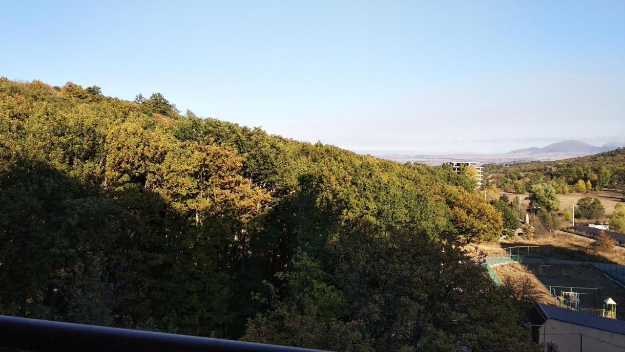 Hillside Apartment Tsaghkadzor Εξωτερικό φωτογραφία
